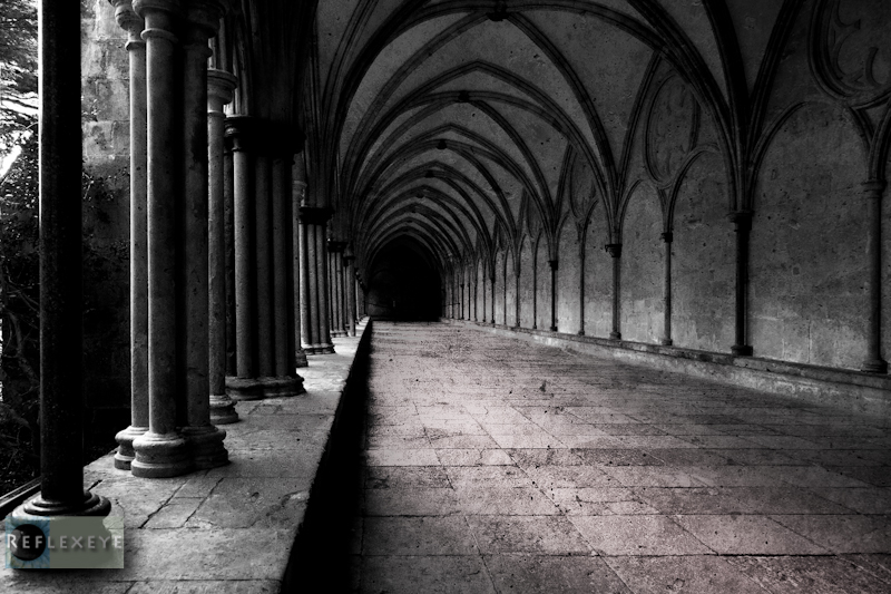 Salisbury texture